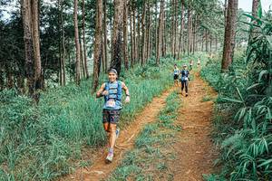 BIB: 
                            <button type="button" onclick="openModal(25681171)" class="btn btn-primary btn-sm float-right btn-popup" data-toggle="modal" data-target=".modal-high-quality">
                        <i class="fas fa-shopping-cart"></i> Add to Cart
                    </button>
                                            <button type="button" onclick="isThisMe(25681171, true)" class="btn btn-success btn-sm float-right btn-popup btn-isme hidden" data-toggle="tooltip" data-placement="bottom" title="นี่คือรูปของคุณใช่ไหม คลิกที่นี่เพื่อเอาเข้าอัลบั้ม">
                        <i class="fas fa-plus"></i> Add to album
                    </button>
                    <button type="button" onclick="isThisMe(25681171, false)" class="btn btn-warning btn-sm float-right btn-popup btn-isnotme hidden">
                        <i class="fas fa-ban"></i> Remove from album
                    </button>